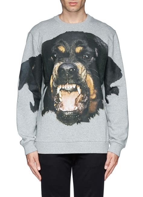 givenchy rottweiler sweater knockoff|givenchy grey rottweiler sweater.